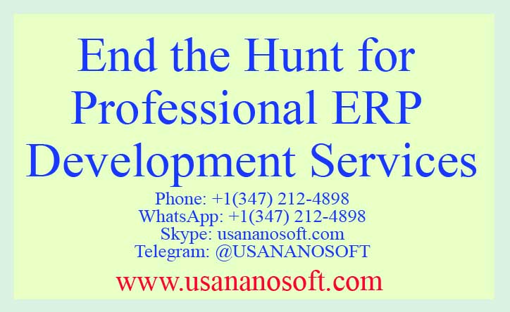 ERP Development services