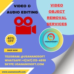 Video Object Removal Services